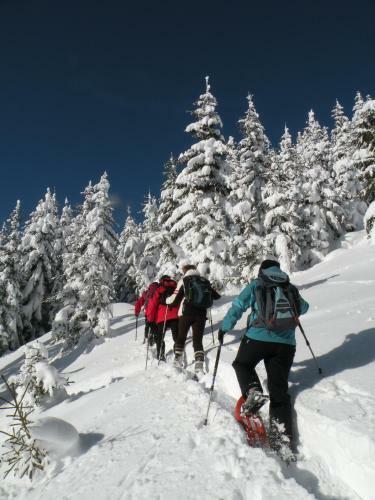 Premium Wanderhotel Steirerhof
