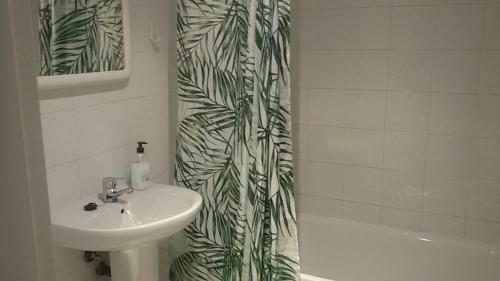 Apartamentos Calle Eduardo Oc�n