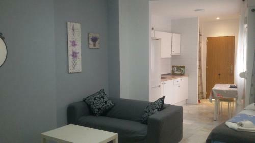 Apartamentos Calle Eduardo Oc�n