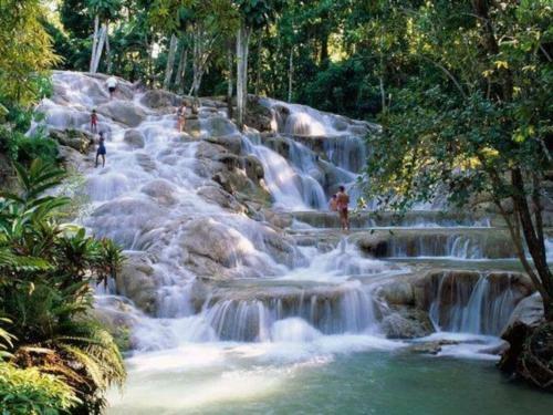 Breadfruit Villa - Your Piece Of Paradise!