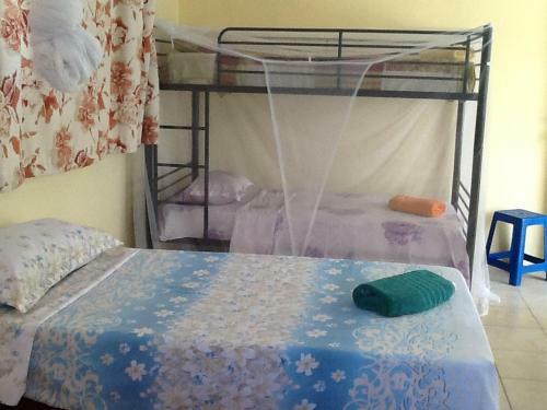 Hostal Pension Turiroa " Chez Olga"