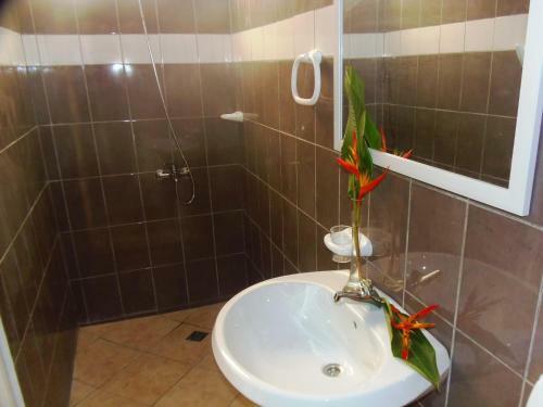 Hostal Pension Fare Ara Huahine