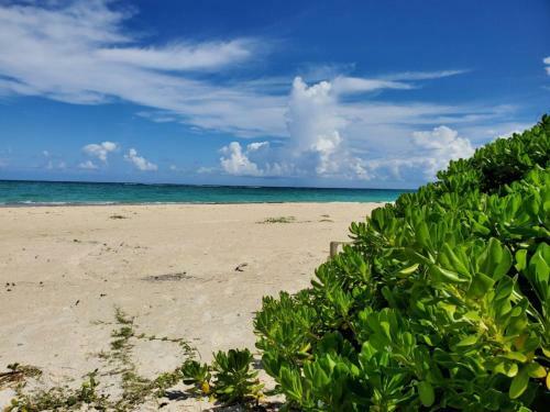 Apartamento Coral Turtle- Beach House