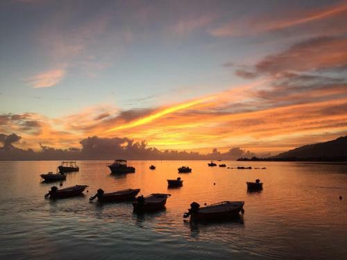 Beach De R�ves De Moorea