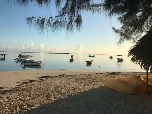 Beach De R�ves De Moorea