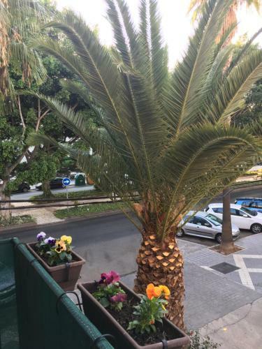 Apartamento Alcazaba Home