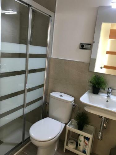 Apartamentos Centro Malaga