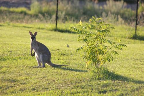 Green Acres B&B