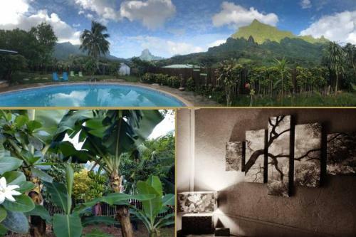Fare Haurevaiti Moorea