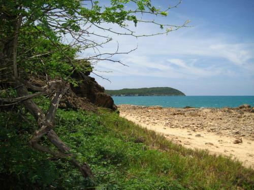 Rock Side 3 Bedroom Villa On The Beach