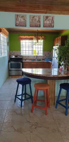 True Treasure In Treasure Beach - Entire Villa