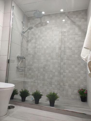 Apartamento La Victoria