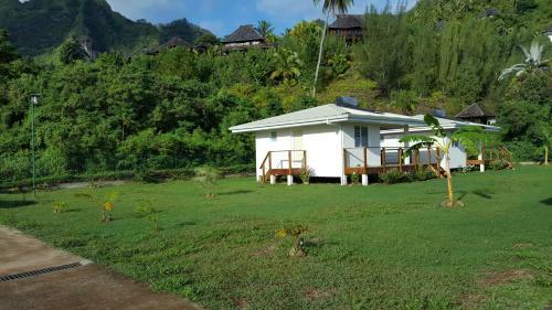Villa Snp- Palms