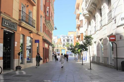 Apartamento Homely M�laga Atarazanas