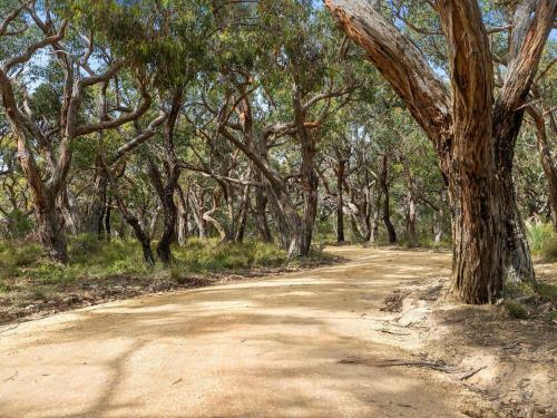 Freestone Park