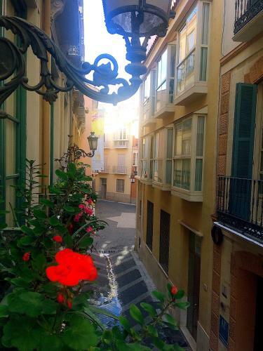 Apartamento Mon Ch�ri