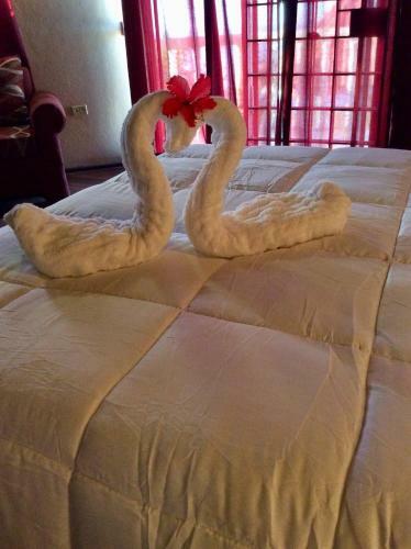 Hostal Rockcliff Villa
