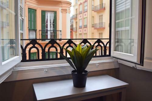 Apartamento Bruno�s Home (old Town)