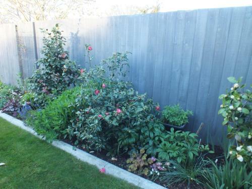 Perfect Home, Stunning Gardens - Aidanfield Gardens Bellissimo