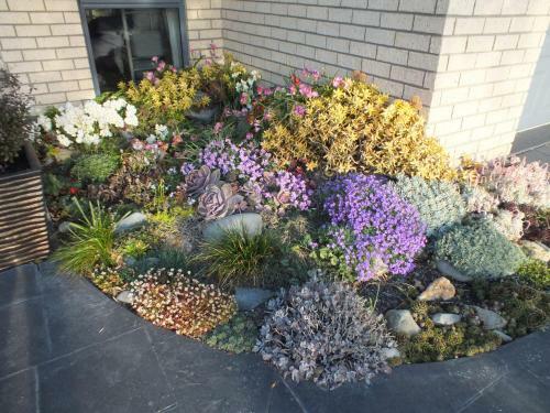 Perfect Home, Stunning Gardens - Aidanfield Gardens Bellissimo