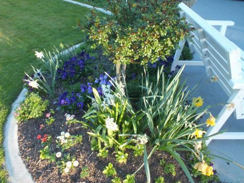Perfect Home, Stunning Gardens - Aidanfield Gardens Bellissimo