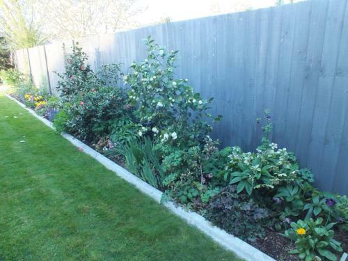 Perfect Home, Stunning Gardens - Aidanfield Gardens Bellissimo