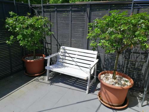 Perfect Home, Stunning Gardens - Aidanfield Gardens Bellissimo