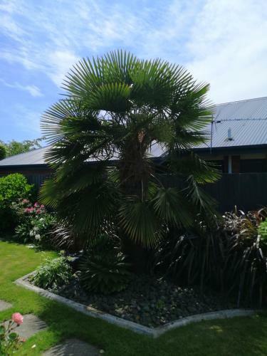 Perfect Home, Stunning Gardens - Aidanfield Gardens Bellissimo