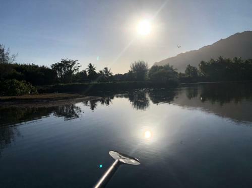 Fare Vaikea Moorea