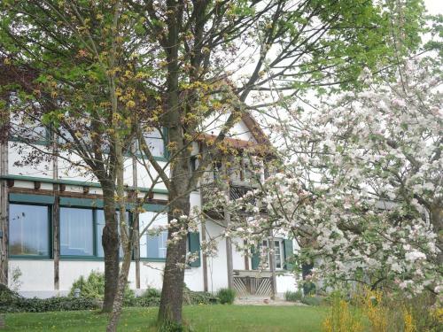 Hostal Landhaus Dampf