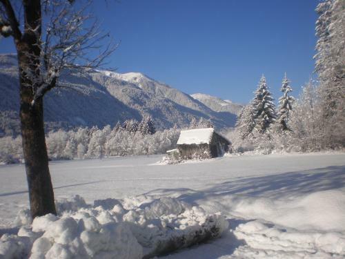 Apartamento Appartement Zweikofelblick