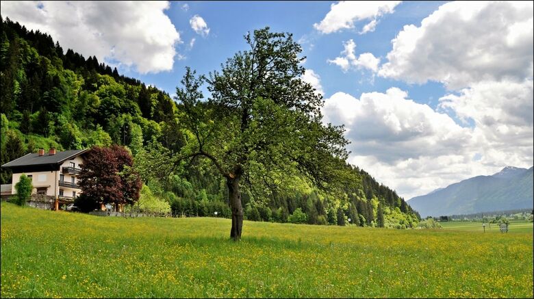 Hostal Enzianbrenner