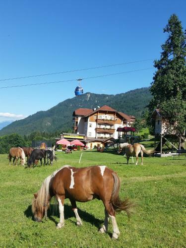 Aparthotel Ederhof