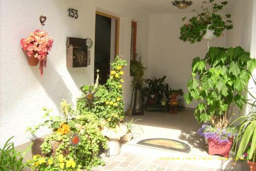 Apartment Gertrud Flatz