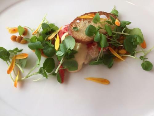 Relax- Und Vitalhotel Adler