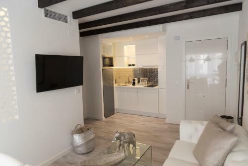 Apartamento M�laga Luxury Suite