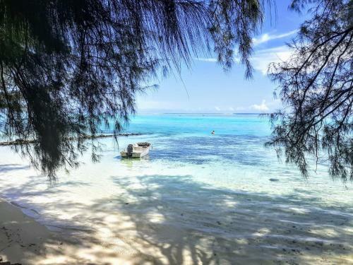 Moorea - Local Spirit 6