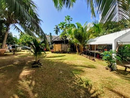 Moorea - Local Spirit 6
