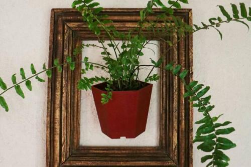 Apartamento Casa Jardin Cholula