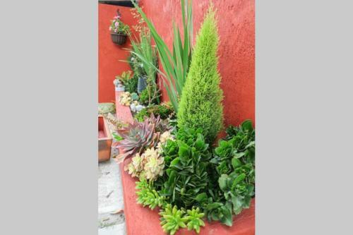 Apartamento Casa Jardin Cholula
