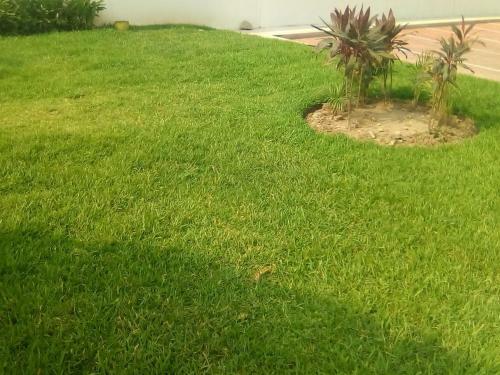 Apartamento V�ctor House