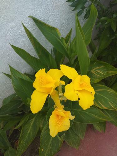 Apartamento Laguna Beach, Torrox Costa, M�laga