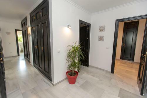Villa Venecia, Apartamento de Lujo En 1� L�nea de Playa + Parking