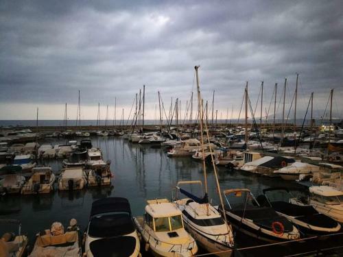 Apartamento M�laga Alcolea