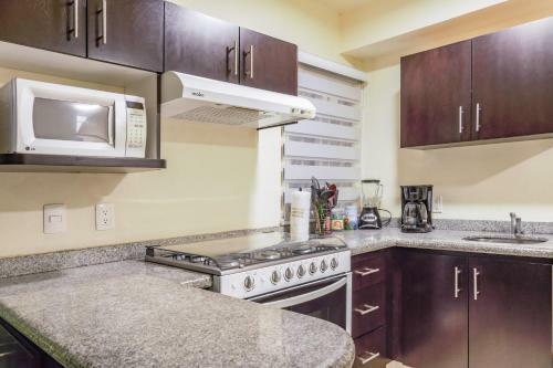Apartamento C�ntrico Departamento Con Alberca Y Spa