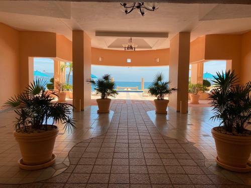 Beachfront Apartment In Acapulco, Ideal For Vacation Or Remote Working