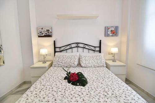 Apartamento Cister Old Town