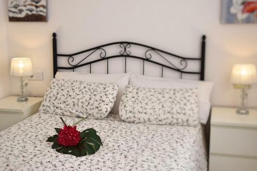 Apartamento Cister Old Town