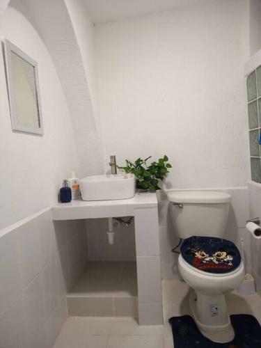 Apartamento Departamento De Piedra
