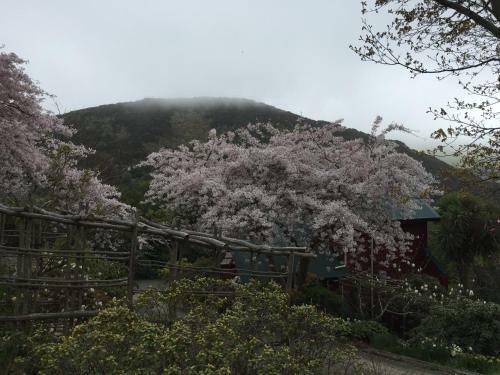 Bed & Breakfast Hereweka Garden Retreat
